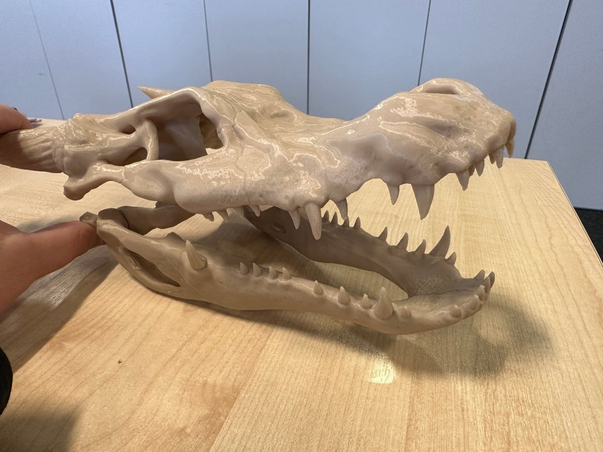 3D printed prop, life sized Kobold Skull - Mini Megastore