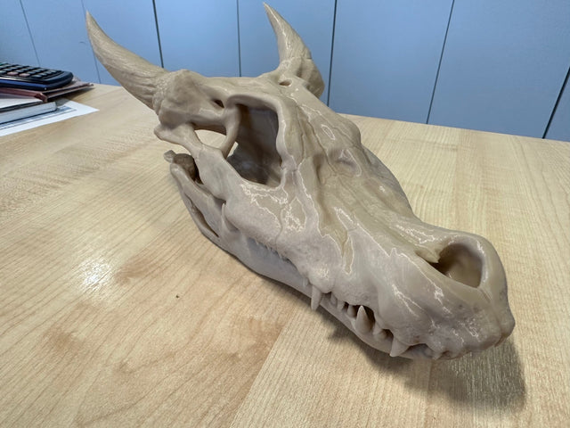 3D printed prop, life sized Kobold Skull - Mini Megastore