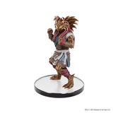 Icons of the Realms: Planescape: Adventures in the Multiverse - Character Miniatures Boxed Set