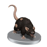 Adventure in a Box - Wererat Den: D&D Icons of the Realms Miniatures - Mini Megastore