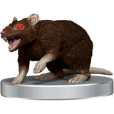 Adventure in a Box - Wererat Den: D&D Icons of the Realms Miniatures - Mini Megastore