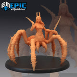 Arachne Miniature - Mini Megastore