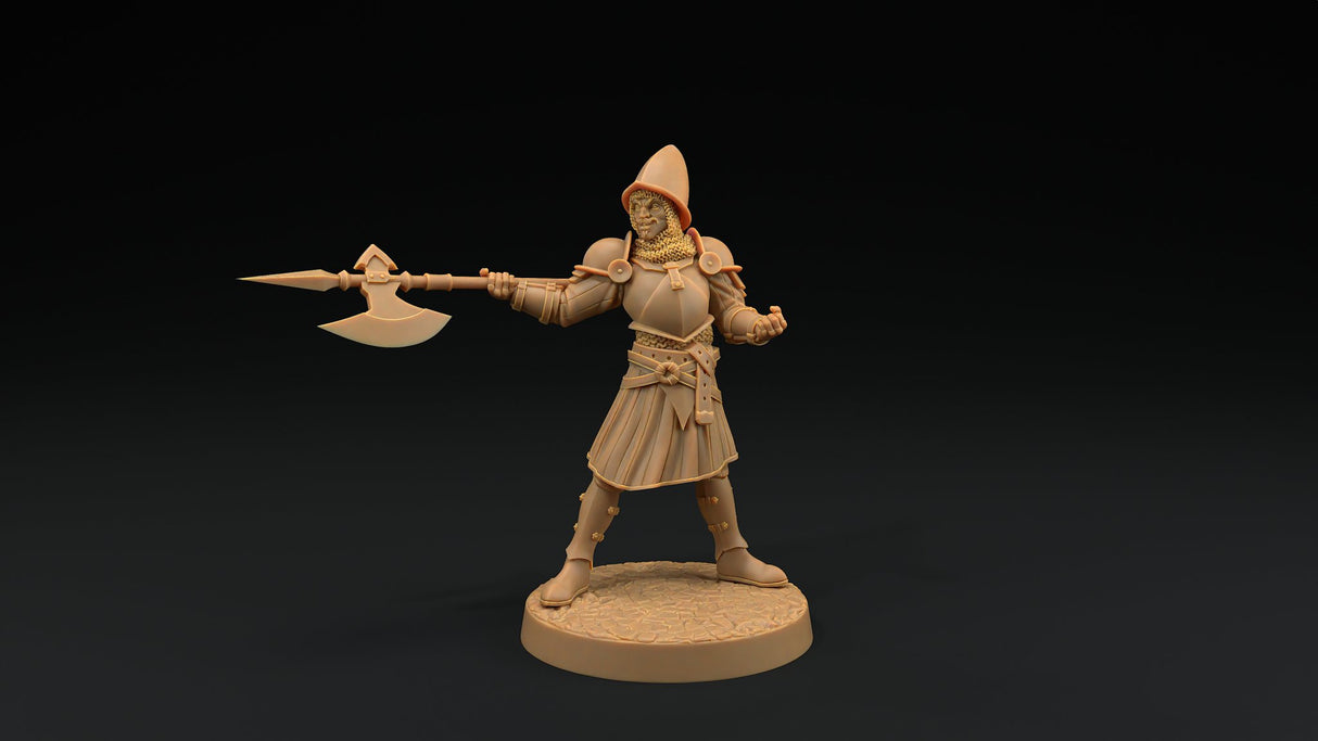 City Guard Miniatures - Mini Megastore