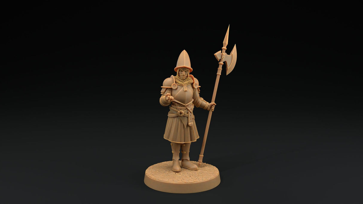 City Guard Miniatures - Mini Megastore