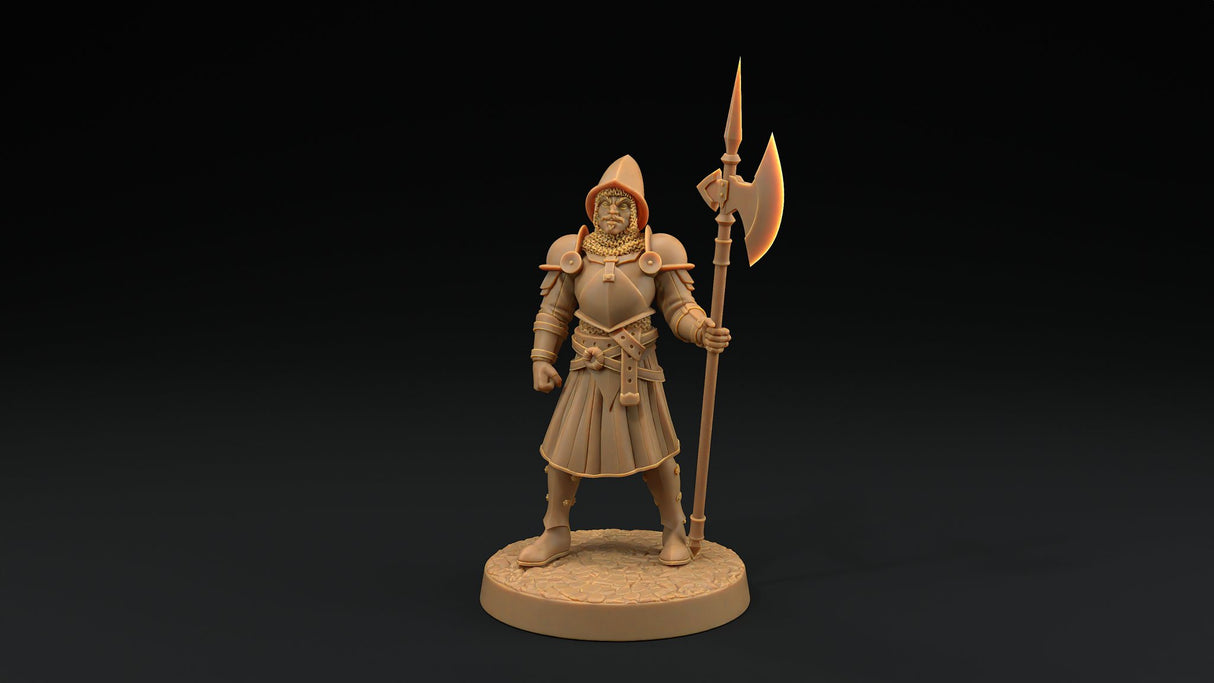 City Guard Miniatures - Mini Megastore