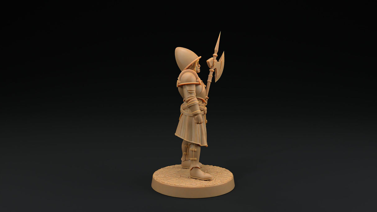 City Guard Miniatures - Mini Megastore