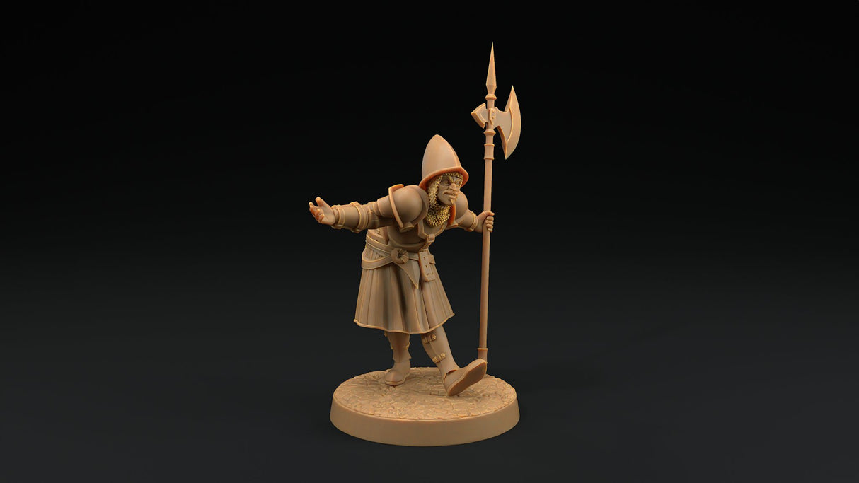 City Guard Miniatures - Mini Megastore