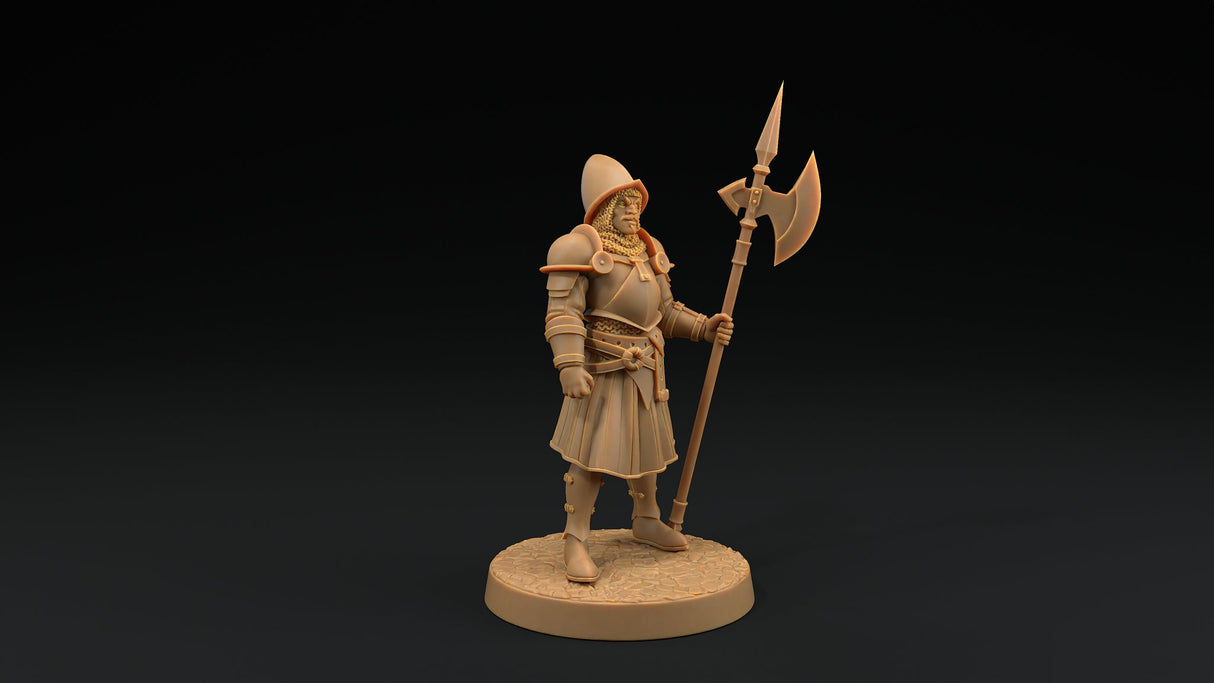 City Guard Miniatures - Mini Megastore