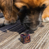 Dogs Dice Set - Mini Megastore