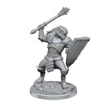 Dragonborn Clerics: Nolzurs Marvelous Miniatures - Mini Megastore