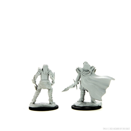 Dragonborn Fighter Female: Nolzur's Marvelous Miniatures - Mini Megastore