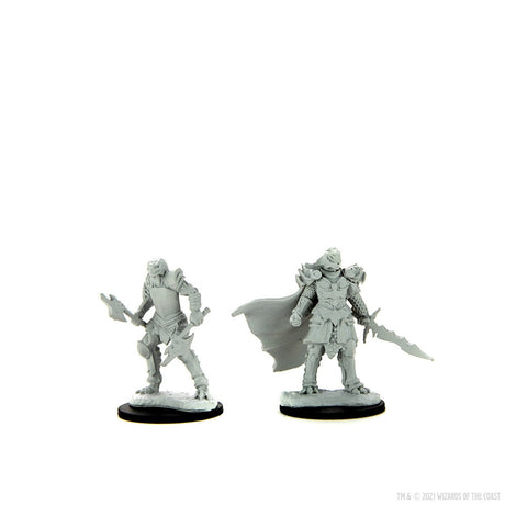 Dragonborn Fighter Female: Nolzur's Marvelous Miniatures - Mini Megastore