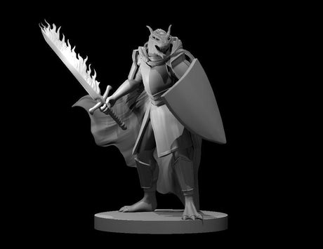 Dragonborn Paladin Hexblade Warlock Miniature - Mini Megastore