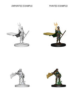 Elf Female Druid: Nolzur's Marvelous Miniatures - Mini Megastore