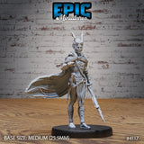 Elf / Tiefling Beast Tamer Ranger Miniature - Mini Megastore