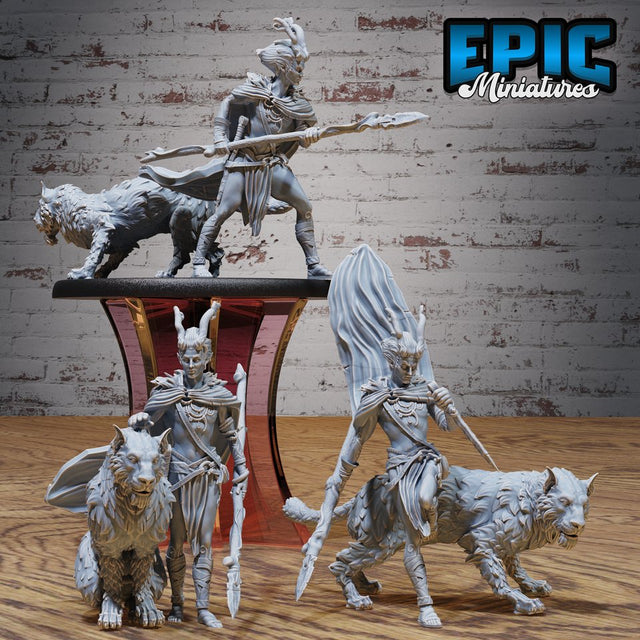 Elf / Tiefling Beast Tamer Ranger Miniature - Mini Megastore