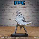 Elf / Tiefling Beast Tamer Ranger Miniature - Mini Megastore