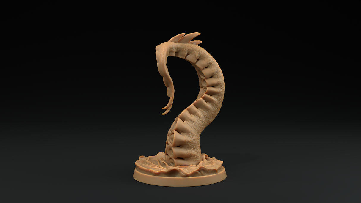 Single Sea Tenticle Miniatures