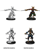 Female Tabaxi Rogue: Nolzurs Marvelous Miniatures Wave 9 - Mini Megastore