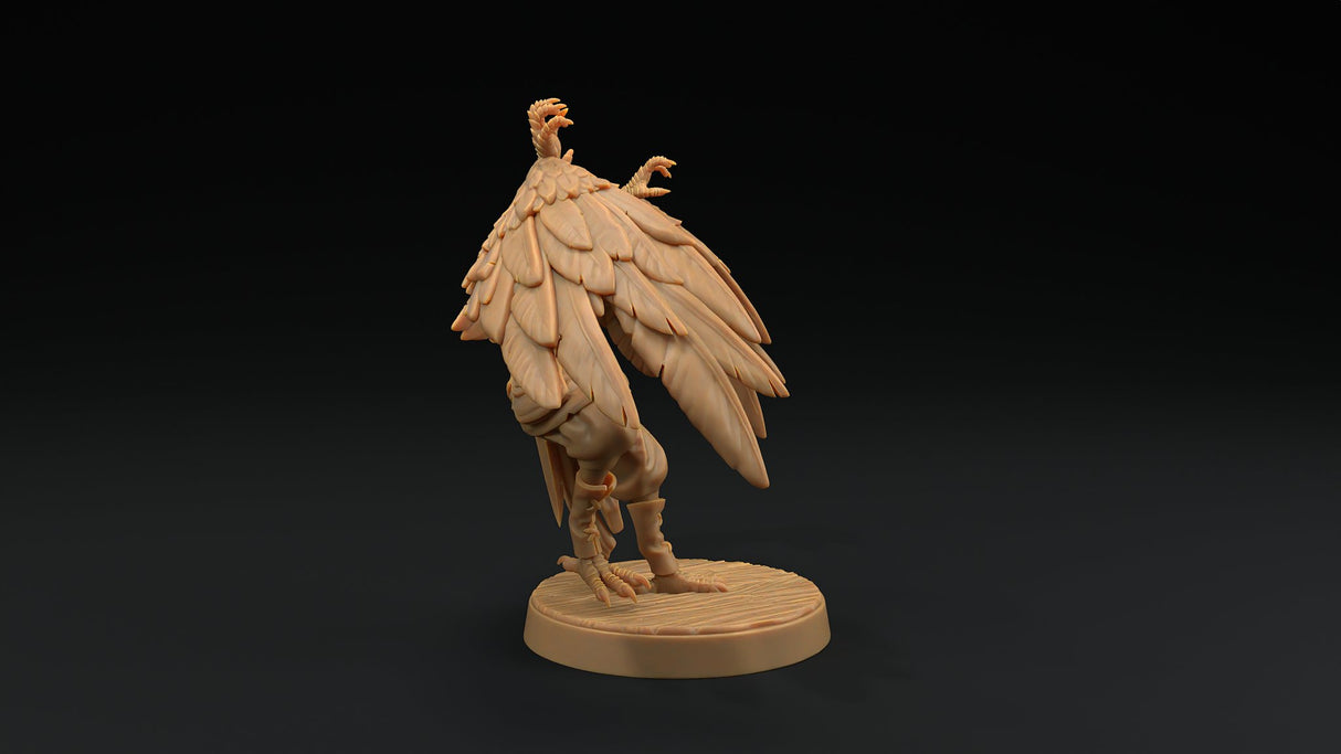 Harpy Pirate Miniatures - Mini Megastore