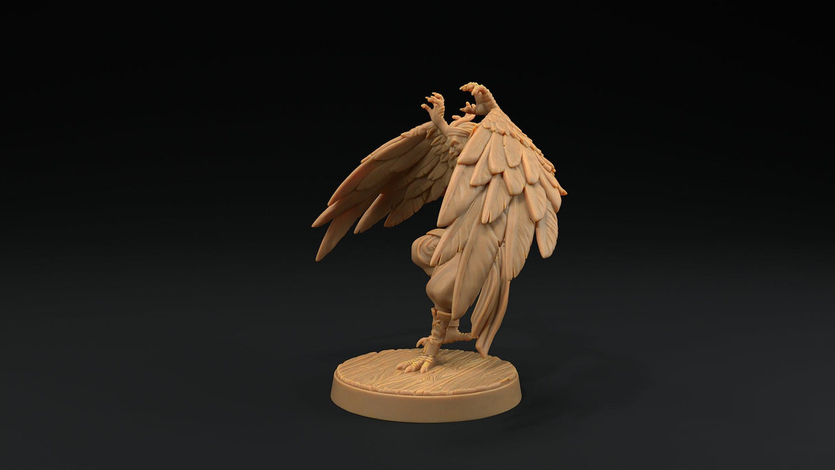 Harpy Pirate Miniatures - Mini Megastore