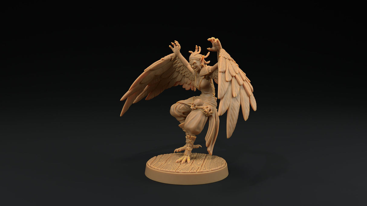 Harpy Pirate Miniatures - Mini Megastore