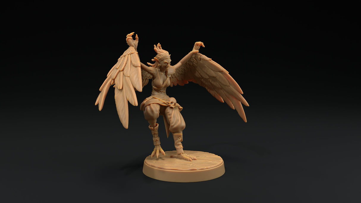 Harpy Pirate Miniatures - Mini Megastore