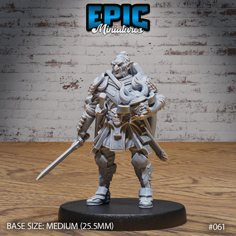 Hobgoblin Adventurer Female and Male Miniatures - Mini Megastore