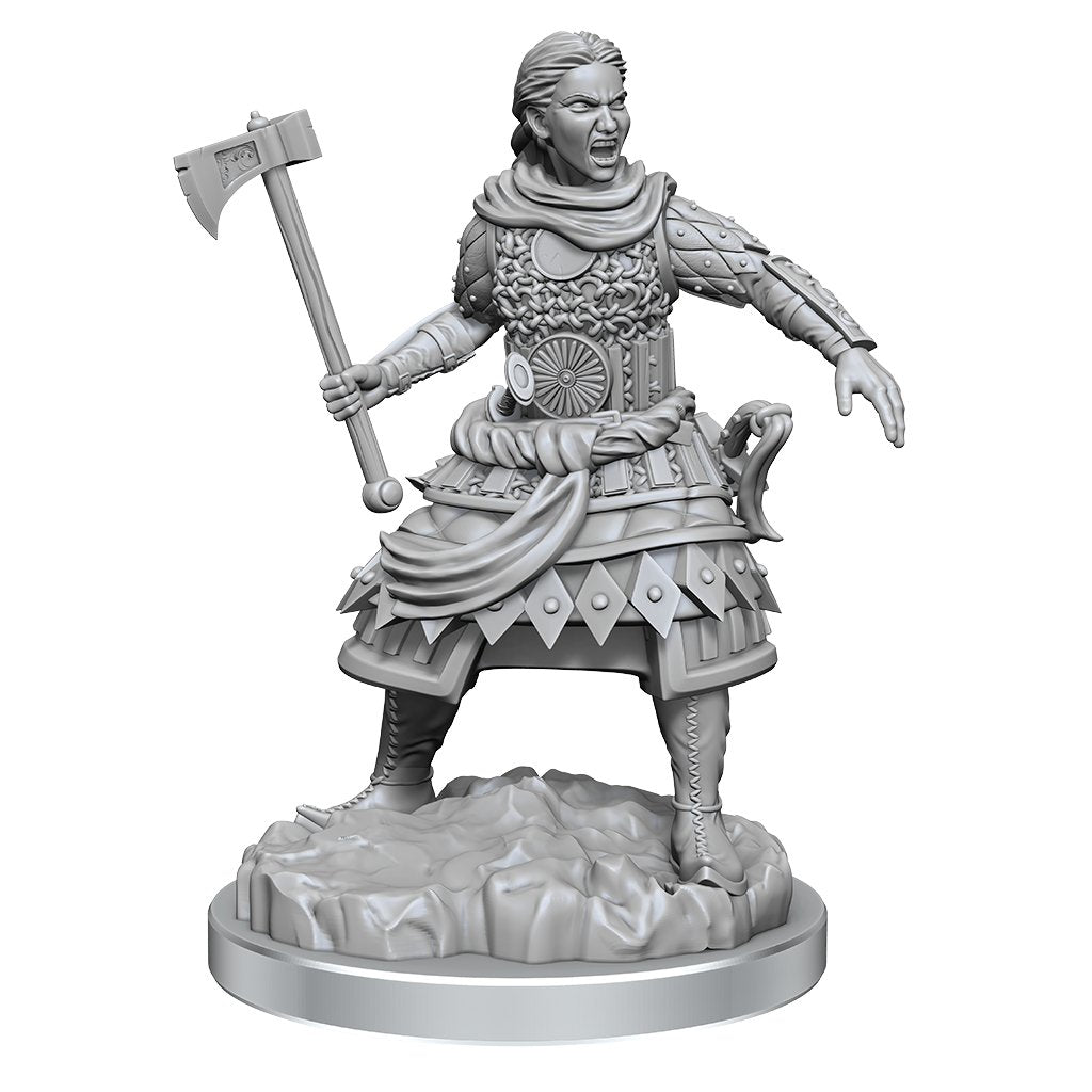 Human Fighters: Nolzur's Marvelous Miniatures - Mini Megastore