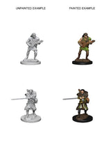 Human Male Bard: Nolzur's Marvelous Miniatures - Mini Megastore