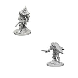 Human Male Paladin: Nolzur’s Marvelous Miniatures - Mini Megastore