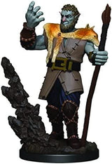 Icons of the Realms - Male Firbolg Druid Prepainted Miniature - Mini Megastore