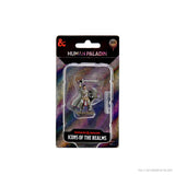 Icons of the Realms Premium Figures: Male Human Paladin Miniature - Mini Megastore