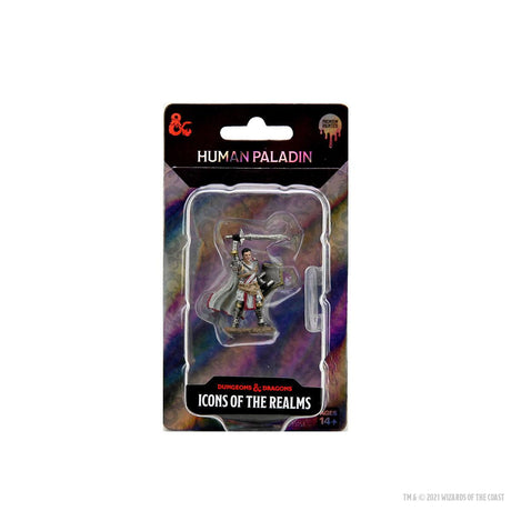 Icons of the Realms Premium Figures: Male Human Paladin Miniature - Mini Megastore