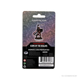 Icons of the Realms Premium Figures: Male Human Paladin Miniature - Mini Megastore