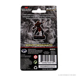 Icons of the Realms prepainted Figures: Male Dragonborn Fighter Miniature - Mini Megastore