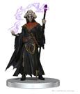 Icons of the Realms Set 20 The Wild Beyond the Witchlight Starter Set 2 - Mini Megastore