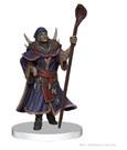 Icons of the Realms Set 20 The Wild Beyond the Witchlight Starter Set 2 - Mini Megastore