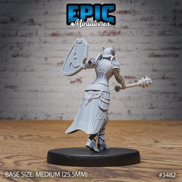 Knight Lady Gisella - Human female Fighter / Paladin Miniature - Mini Megastore