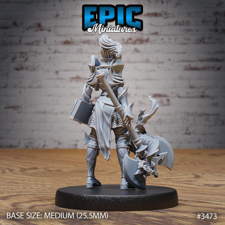 Knight Lady Joan - Female Human Fighter / Paladin Miniature - Mini Megastore