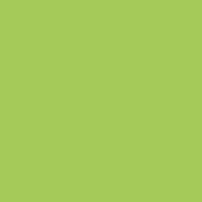 Mecha Color Green Fluorescent - Mini Megastore