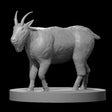 Mountain Goat & Giant Mountain Goat Miniatures - Mini Megastore