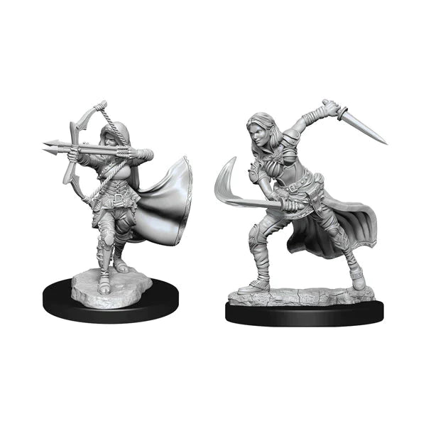 Nolzur's Marvelous Miniatures: Air Genasi Female Miniatures Pack of 2 - Mini Megastore