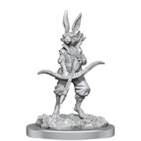 Nolzur's Marvelous Miniatures: Paint Kit - Harengon - Mini Megastore