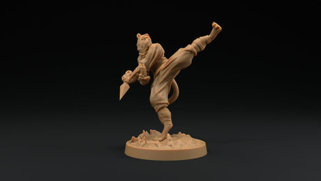 Paw Clan Ninjas - Tabaxi Rogue Miniatures - Mini Megastore