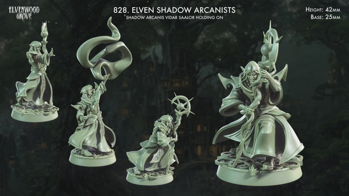 Elven Shadow Arcanist Miniatures