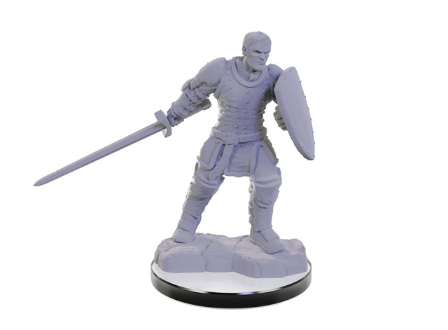 Reborn Paladin & Warlock: Nolzur's Marvelous Miniatures - Mini Megastore