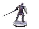 Reborn Paladin & Warlock: Nolzur's Marvelous Miniatures - Mini Megastore