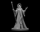 Ringlerun Miniature - Wild Beyond the Witchlight - Mini Megastore