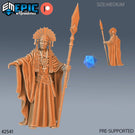 Shaman Chief Miniatures - Mini Megastore